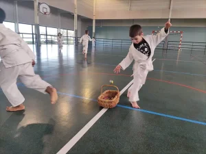 chasse aux oeufs 2025